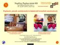 http://www.napfenypaplan.hu ismertető oldala